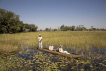 Mokoro in the Okavango delta